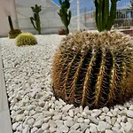 San Eugenio Charming Renovated Tenerife Costa Adeje